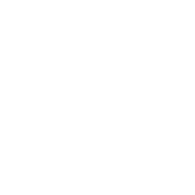 Colegio Menezes